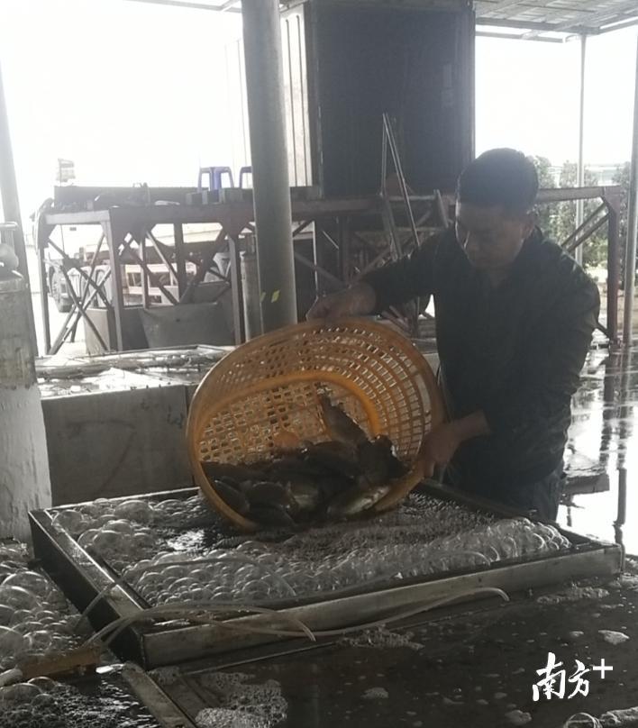 香港疫情最新政府通告及其影响